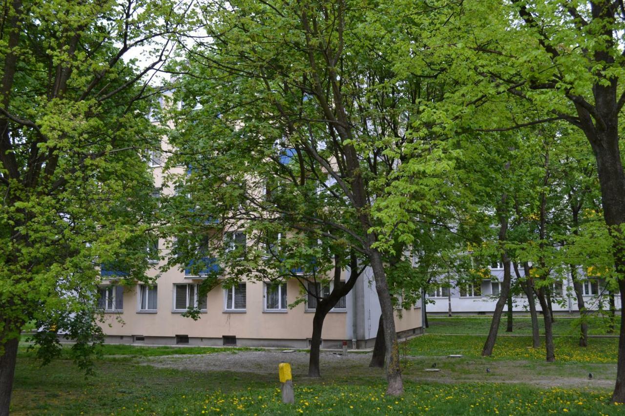 Apartament Chełm Extérieur photo